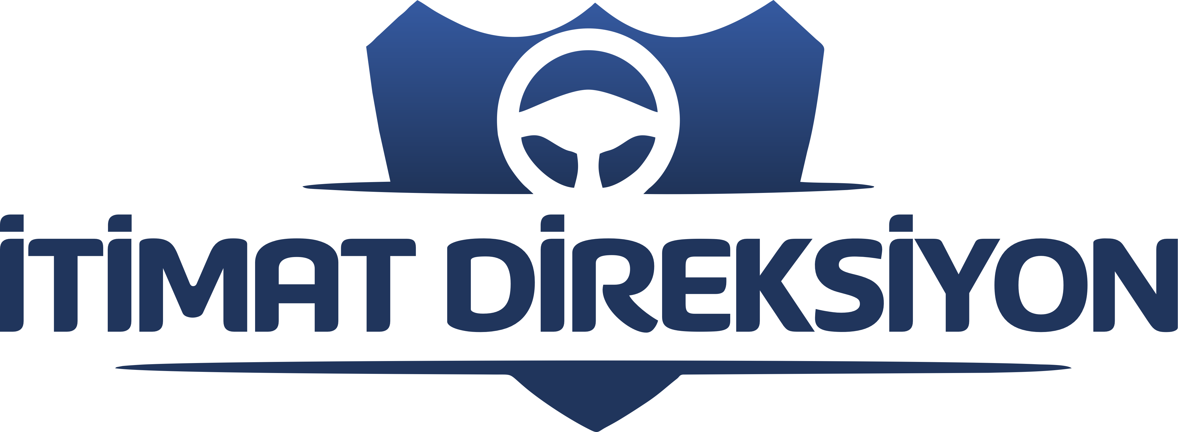 Wide Logo